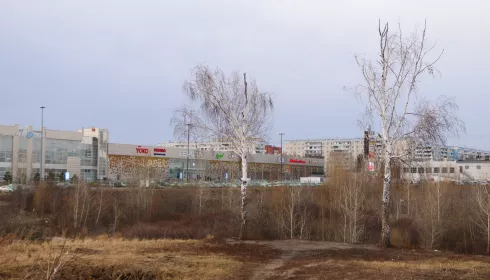 Пустырю – конец. Парк 300-летия Барнаула получил путевку в жизнь за 90 млн рублей